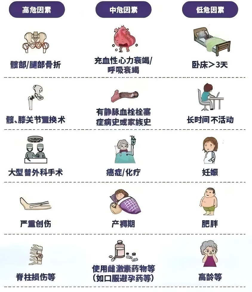 图片2.jpg 图片2.jpg