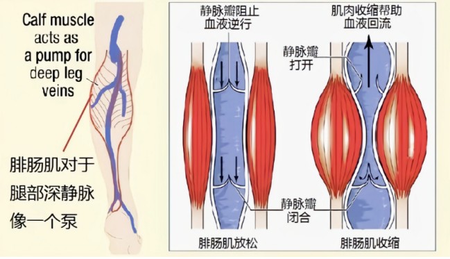 图片2.jpg 图片2.jpg