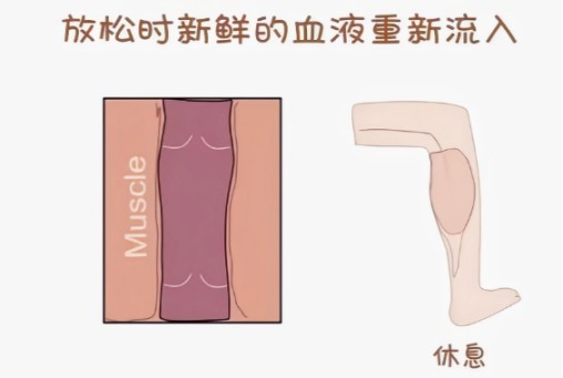图片4.jpg 图片4.jpg