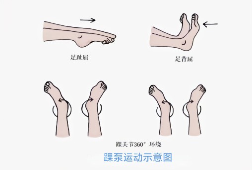 图片6.jpg 图片6.jpg